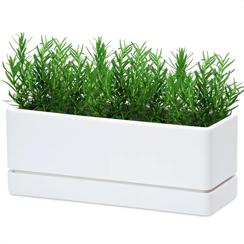 Vista 11 de D'vine Dev - Maceta para ventana de 12 pulgadas, maceta rectangular de plástico para hierbas con agujeros de drenaje y plato, maceta de suculentas