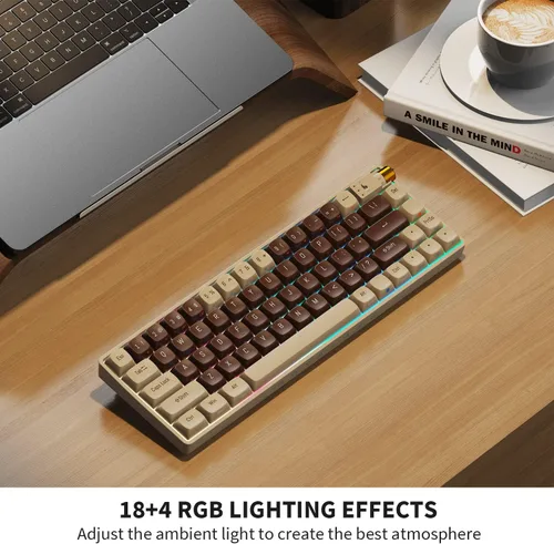 Vista 6 de ROYALAXE X ProtoArc - Teclado mecánico inalámbrico 60%, con cable intercambiable en calienteBluetooth 5.02.4G, con retroiluminación RGB para Windows