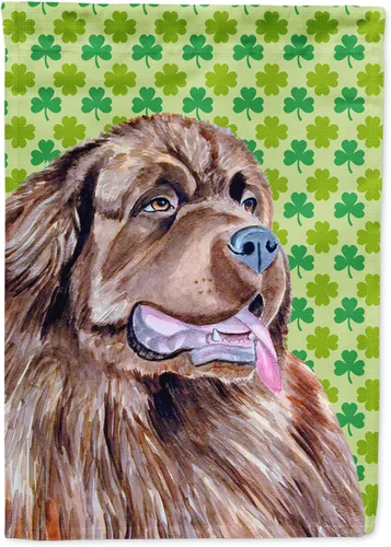 Vista 155 de Caroline's Treasures SS4442GF Affenpinscher Bandera de jardín con retrato de trébol del día de San Patricio para buzón, bandera decorativa