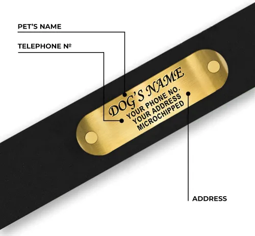 Vista 7 de Regal Dog Products Collares de perro pequeños negros impermeables con placa de nombre personalizada grabada Collar de perro de Biothane