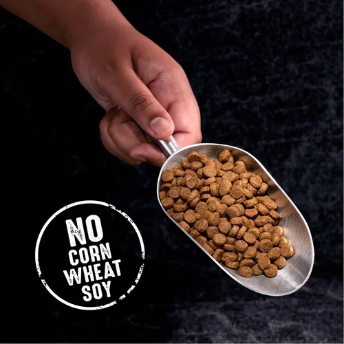 Vista 8 de Crave Comida con proteína para perros, libre de granos, adulto