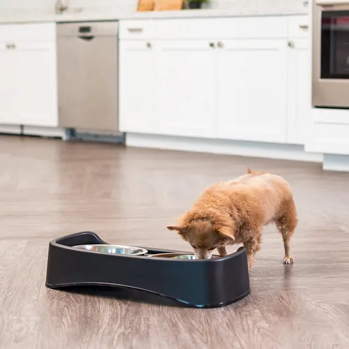 Vista 8 de IRIS USA Cuencos elevados para perros, soporte ajustable, estación de alimentación elevada con 2 cuencos de acero inoxidable de 64 onzas, protector