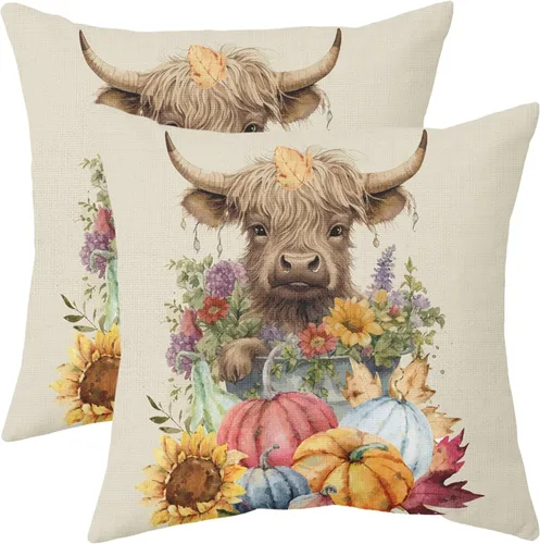 Vista 9 de Juego de 2 fundas de almohada de otoño de 16 x 16 pulgadas, color azul aguamarina, calabaza, girasol, cosecha, Acción de Gracias, para exteriores