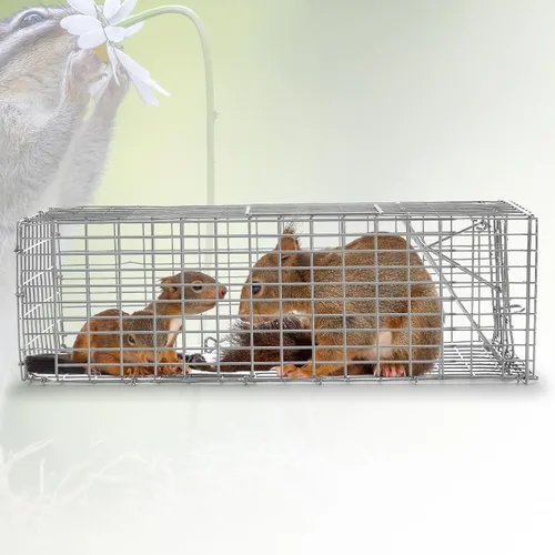 Vista 6 de Qualirey 1 trampa para ardillas humanitarias, resistente para animales vivos, captura y liberación, trampa para ratas para animales pequeños al aire