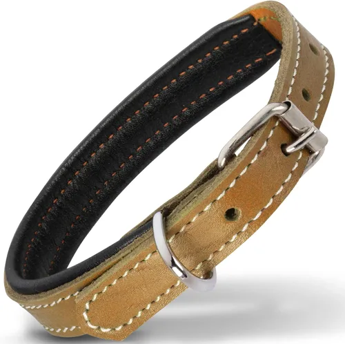 Vista 24 de Filbert Collar de cuero para perro, collar de cuero genuino para perros pequeños, acolchado de lujo, fuerte, ajustable para todas las razas, hebilla
