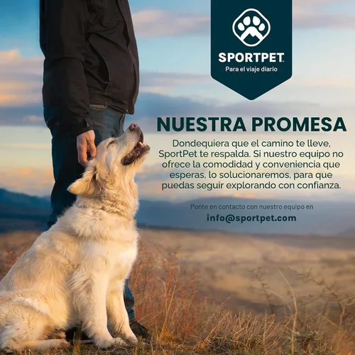 Vista 14 de SPORT PET Designs - Transportador plegable de viaje para gatos - Colección de transportador plegable de plástico con puerta frontal, cama