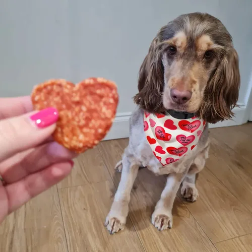 Vista 4 de Bandana para perro del día de San Valentín, bandana de corazón para perros