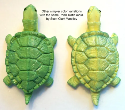 Vista 2 de Scott Clark Woolley Pond Turtle Molde de silicona