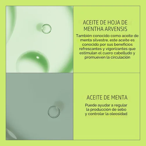 Vista 7 de Nioxin System 2 - Acondicionador de cuero cabelludo + engrosamiento del cabello para cabello natural con adelgazamiento progresado Aumenta