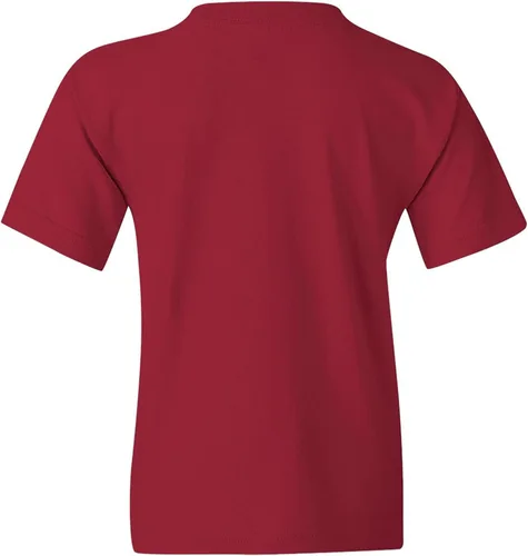 Vista 452 de NCAA Arch Logo, camiseta juvenil color del equipo, universidad - universidad