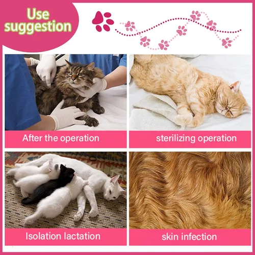 Vista 2 de Traje de cirugía para gatos, traje quirúrgico de recuperación profesional para heridas abdominales o enfermedades de la piel, alternativa de collar