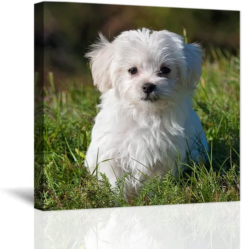 Vista 10 de Impresiones en lienzo personalizadas con tus fotos y nombres, marco de fotos personalizado en las montañas junto al mar, imagen de vacaciones