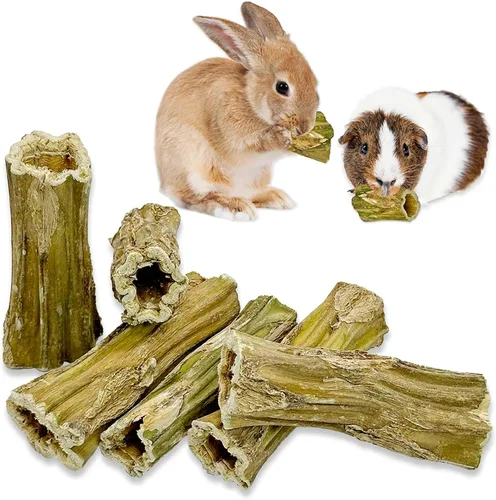 Vista 7 de Fhiny Juguetes masticables de conejo, 8 piezas de palitos masticables de madera de papaya natural de 2 pulgadas, golosinas para el cuidado dental