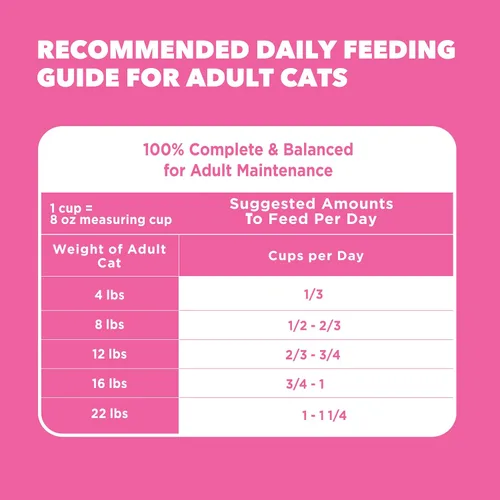 Vista 9 de Iams IAMS PROACTIVE HEALTH - Alimento seco para gatos adultos para digestión sensible y piel con pavo real, croquetas para gatos, bolsa de 3 libras