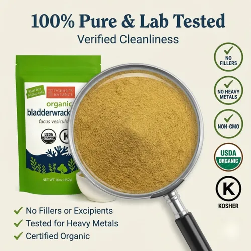 Vista 2 de Ocean's Balance Clean - Polvo orgánico de vesiculosus (Fucus vesiculosus) de la costa prístina de Maine Vegano • Pureza probada en laboratorio •