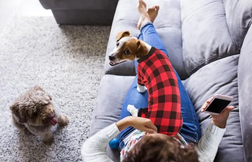 Vista 7 de Suéter de forro polar para perro, ropa a cuadros de búfalo, suéter para perros pequeños, suéter suave y grueso cálido para cachorros, suéteres
