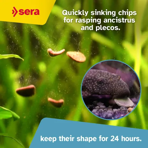 Vista 3 de Sera Papas fritas de bagre Nature 3.4 oz/0.21 libras Alimento de pescado premium para Ancistrus y Plecos Alta fibra Sin tintes ni conservantes
