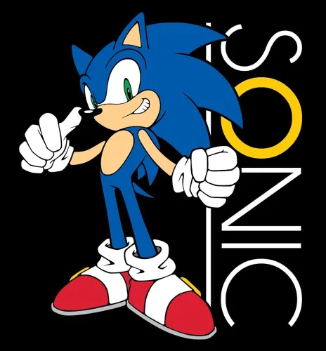 Vista 2 de Sonic The Hedgehog Sonic with Ring - Camiseta negra para niño