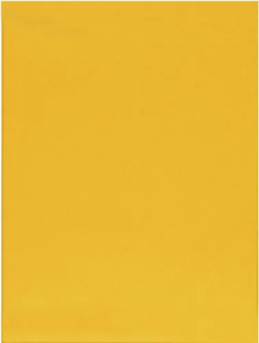 Vista 2 de Sobres de papel marrón Columbian CO645 de 6 x 9 pulgadas, multicolorfantasía (Self Seal)