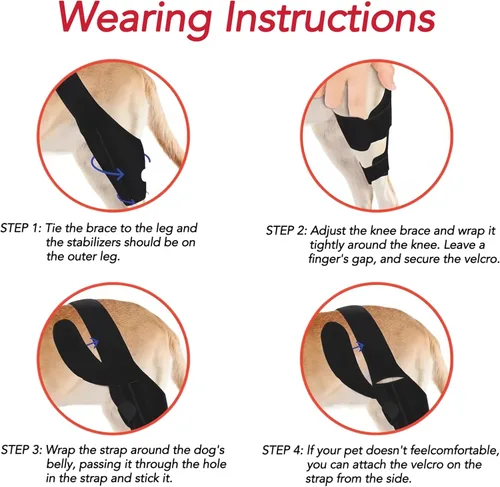 Vista 6 de Rodillera para perro para curar heridas de perro, protector de codo de perro, tratamiento para artritis, alivio del dolor, lesiones de ligamentos