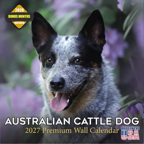 Vista 165 de Calendario de Lebrel Afgano 2025 2026, calendario mensual de pared de raza canina, 12" x 18" abierto, papel grueso sin traspaso, ideal para regalo