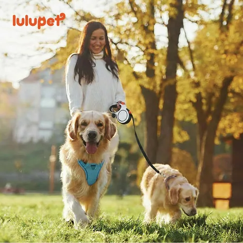 Vista 6 de Arnés para Perro Sin Tirones, Juego de Correa y Collar, Chaleco Suave y Ajustable para Perros, Reflectante y con Mango Cómodo Azul, Talla Pequeña
