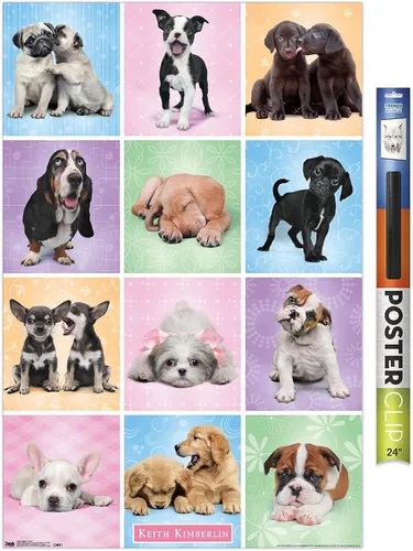 Vista 16 de Trends International Póster de pared Puppies Cuties, 22.375 x 34 Versión con marco negro
