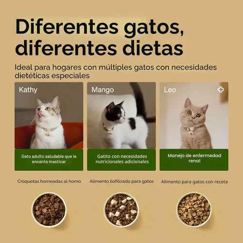 Vista 5 de PETLIBRO Alimentadores RFID para 2 gatos, sensor de collar para comidas personalizadas, reconocimiento de gatos, seguimiento de dieta y antirrobo