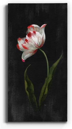 Vista 25 de Renditions Gallery Master Botanical II - Arte de pared, decoración en lienzo de alta calidad con envoltura de galería, listo para colgar, 16