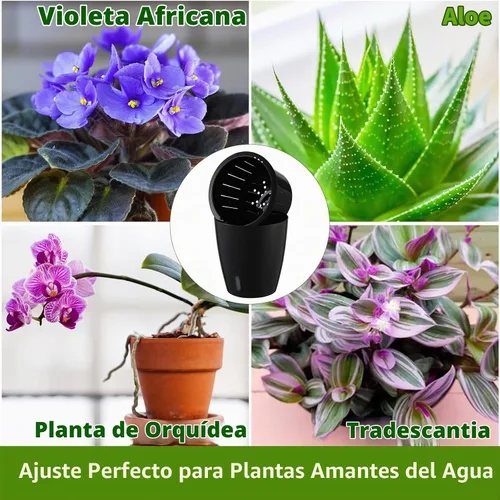 Vista 3 de Planterhoma Macetas de riego automático de 5 pulgadas para plantas de interior, 6 paquetes de macetas de violeta africana con indicador, maceta