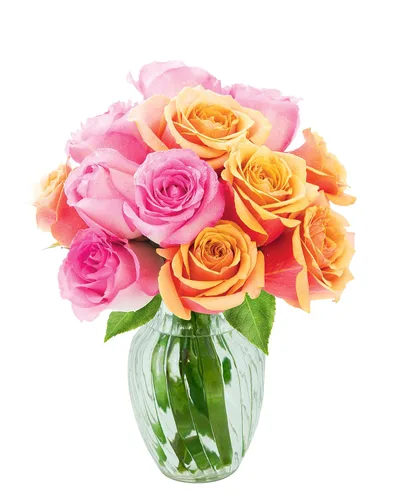 Vista 59 de KaBloom - Rosas arcoíris (media docena)- Flores frescas para cumpleaños, San Valentín y Día de la Madre