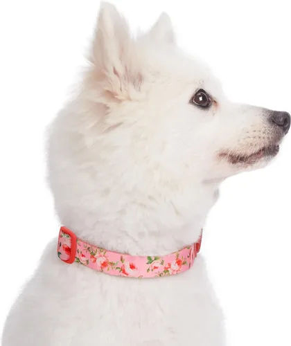 Vista 9 de Collar para Perro Blueberry Pet - Collar Floral Rosa Rosa Bebé para Cachorros, Collares Ajustables para Perros Pequeños, Collar para Perro Pequeño