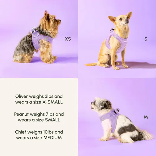 Vista 185 de Downtown Pet Supply Arnés para perro Step-in – Sin tirones, malla acolchada ajustable con ribete reflectante, correa de hebilla segura – Arnés