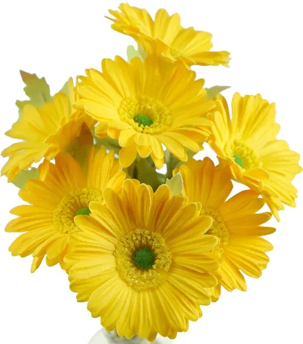 Vista 14 de FiveSeasonStuff Real Touch Gerbera Daisy - Arreglo de flores artificiales y ramo de boda (7 tallos florales, rojo baya)