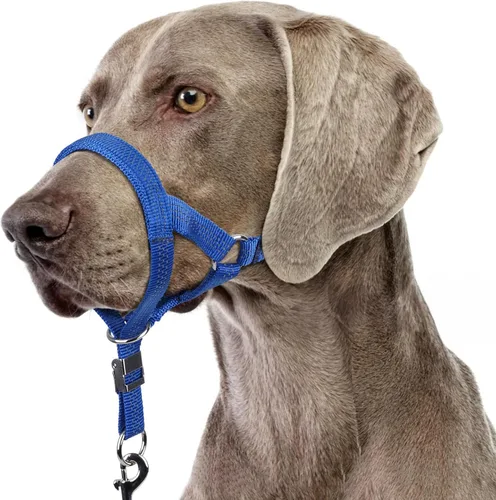 Vista 9 de BARKLESS Collar resistente sin tirones para perros medianos y grandes, suave y reflectante con enlace de seguridad, correa de bozal de entrenamiento