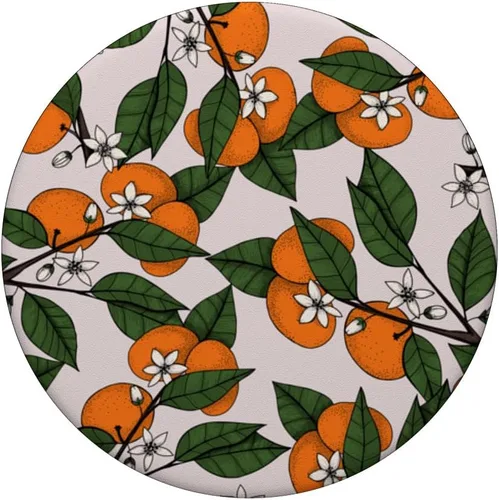 Vista 3 de PopSockets con diseño botánico de Clementine en rama naranja estético