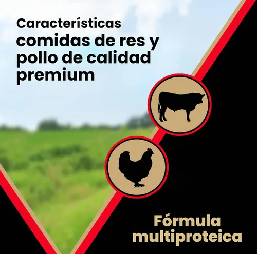 Vista 5 de VICTOR Super Premium Comida para Perros – Alimento seco para perros de alta energía para perros activos – Croquetas caninas sin gluten con proteínas