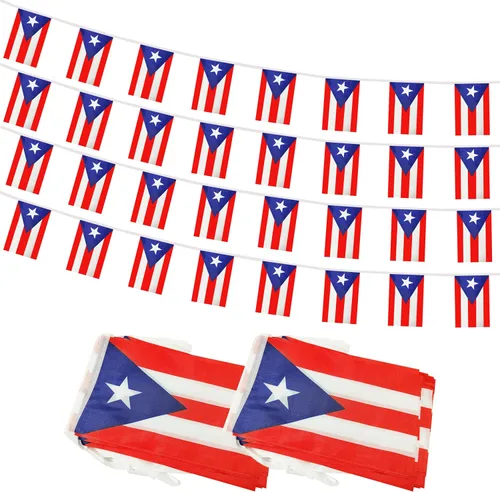 Vista 8 de Bandera de Cuerda Argentina de 100 Pies, 76 Piezas Bandera Estandarte Argentina, Pequeñas Mini Banderas del Mundo para Eventos Deportivos