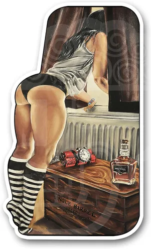 Vista 12 de Jeremy Worst pegatina de 10 cm "Arte adhesivo de Star Wars R2D2 Princesa Leia Pinup Regalos Señor Jedi Darth Vader Ayúdame Obi Uno cosas juguetes