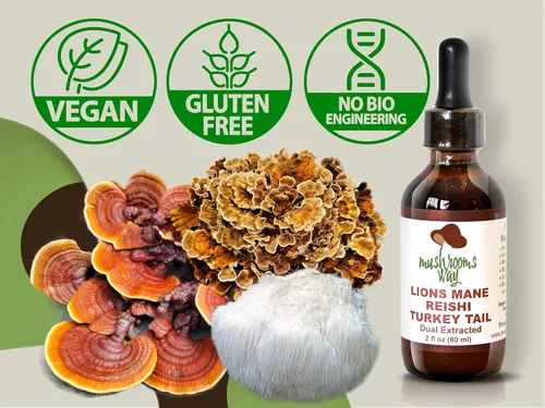 Vista 2 de Melena de Leones – Reishi – Cola de pavo – Suplemento de hongos para apoyo del sistema inmunológico – Extracto dual para los mejores beneficios