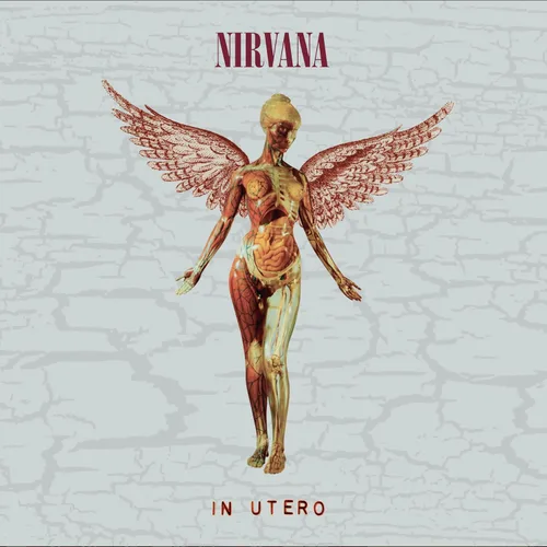 Vista 2 de In Utero 30th Anniversary (Super Deluxe Ediiton 5CD)