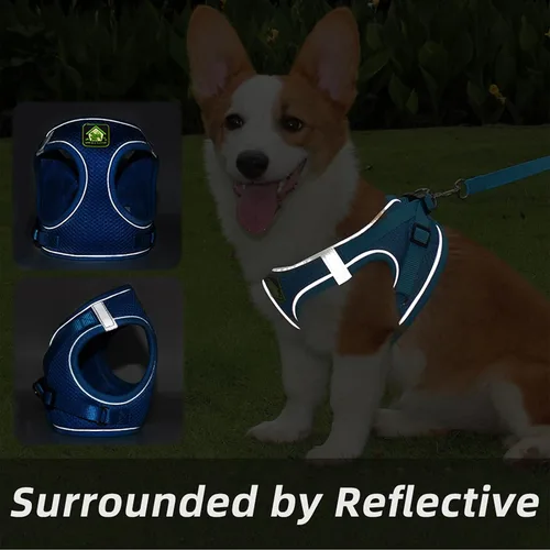 Vista 5 de Juego de arnés y correa para cachorros y perros pequeños, número de teléfono con nombre personalizado, arnés reflectante ajustable sin tirones