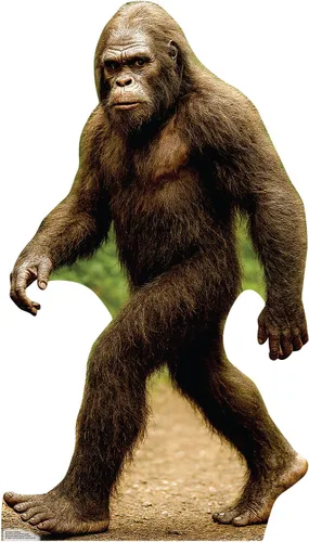 Vista 11 de Cardboard People Bigfoot - Soporte de cartón de tamaño real