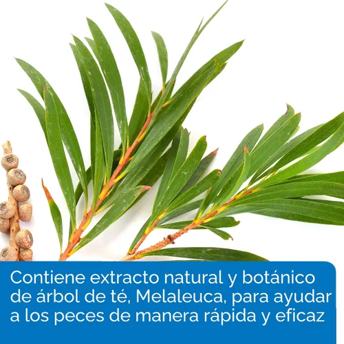 Vista 5 de API MELAFIX - Remedio para infecciones bacterianas de peces de agua dulce, botella de 4 onzas