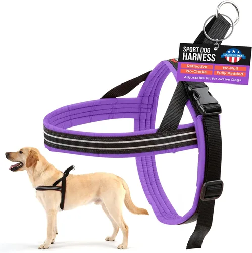 Vista 11 de Arnés de deportes ComfortFlex de PetPDC, Berry American made, designed, cut, assembled, and sewn in the USA, padded reflective harness, integrated