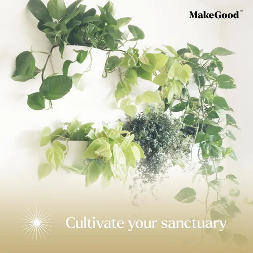 Vista 6 de Make Good Virgo - Macetas de pared (anchas, juego de 6), fáciles de regar e instalar, ligeras, diseña tu propio jardín vertical, plástico de melamina