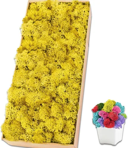 Vista 25 de Musgo de reno azul de 3.5 onzas, musgo preservado para plantas, decoración de musgo, musgo verde para manualidades, musgo para plantas en maceta