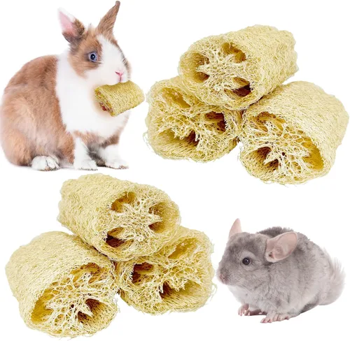 Vista 11 de BNOSDM Juguetes masticables de conejo, esponja natural, 6 piezas de dientes de conejo, juguete para moler conejo, golosinas ricas en fibra