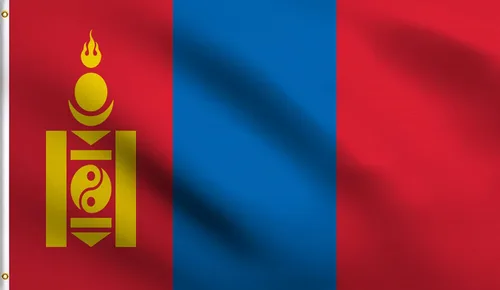 Vista 22 de DMSE - Bandera nacional beninesa beninesa de la República de África Occidental, 2 x 3 pies, 100 % poliéster, 100 % poliéster, resistente a los rayos