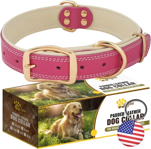 Vista 14 de ADITYNA Collar de perro de cuero negro resistente para perros pequeños, acolchado suave para mayor comodidad, collar de perro pequeño para caminar